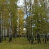 Остреч 2-3/10