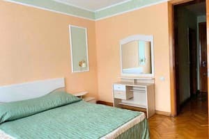 Отель Придеснянский. Стандарт двухместный с большой двуспальной кроватью 8