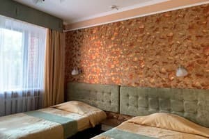 Отель Придеснянский. Стандарт двухместный с двумя раздельными кроватями 2